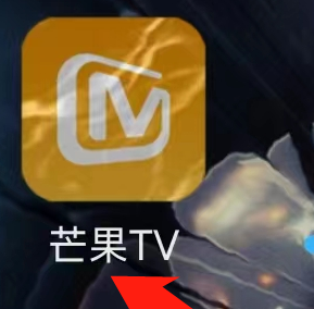 芒果TV怎么查看芒果公益