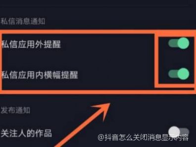 抖音怎样关闭聊天信息显示内容