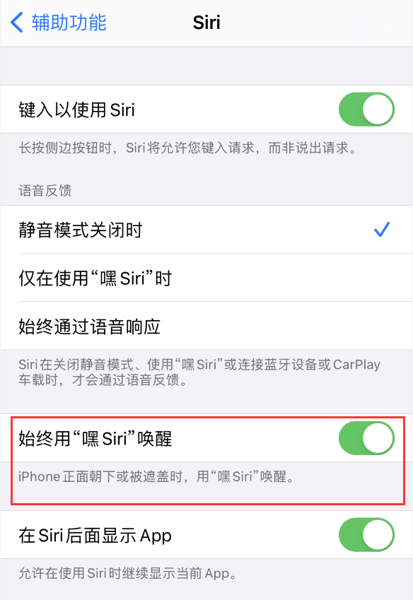 使用 iPhone 12 时 Siri 不会正常回应怎么办？