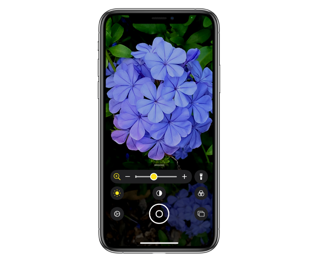 iOS 14.2 新功能：放大器应用支持“人物检测”