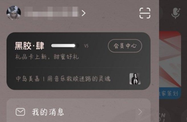 网易云八级代表了什么含义