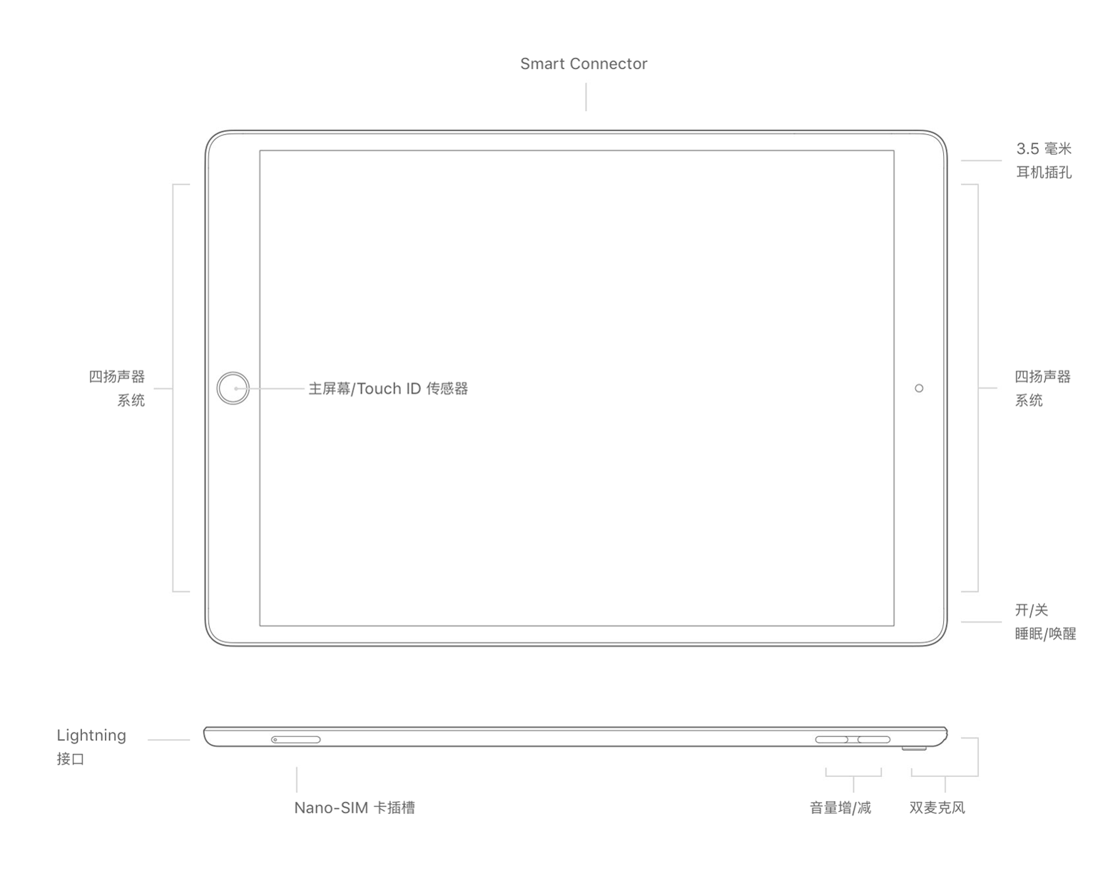 全网最全 iPad 机型识别|iPad、iPad Air 和 iPad Pro 到底有多大区别？