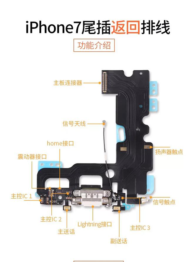 为什么 iPhone 维修时被告知指纹识别和返回功能只能保留一个？