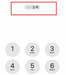 苹果 iPhone XS Max 如何切换号码拨打电话？