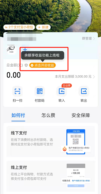 支付宝小荷包怎样开启收益
