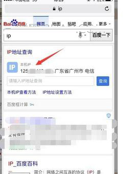 iPhone怎么查看手机ip地址