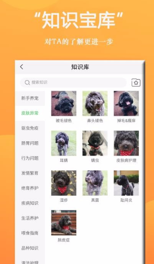 如何用狗狗Bing商城app