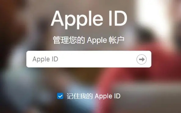 appleid登录不上去是什么原因 登录失败解决方法分享 3