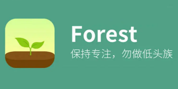 forest专注森林如何和好友一起种树 一起种树玩法教程 1