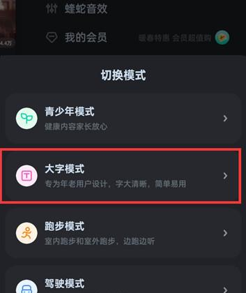 酷狗音乐在哪里开启大字模式 设置大字模式方法一览 3