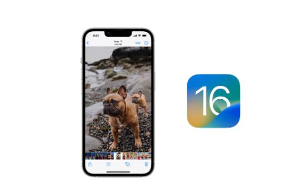 如何从装有iOS16的iPhone上的图像中删除背景