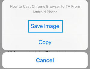 iPhone 上的保存图像选项