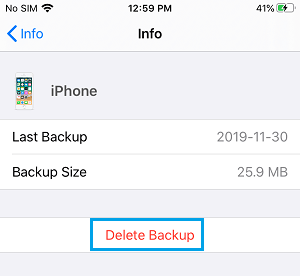 在 iPhone 上删除 iCloud 备份