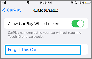 在 iPhone 上忘记这辆车选项