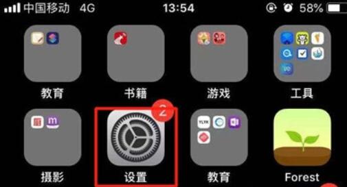 iPhone11pro max还原网络设置的具体方法截图