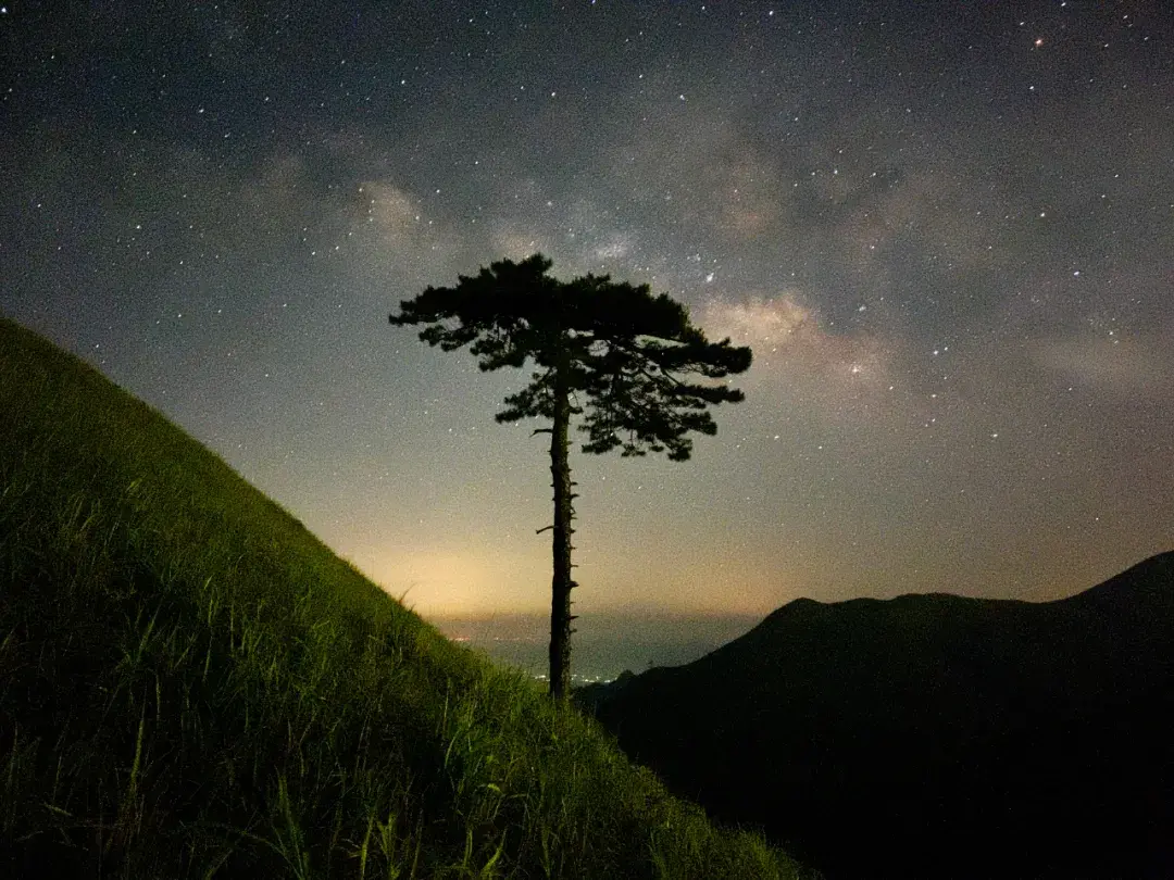 苹果相机夜间模式怎样打开