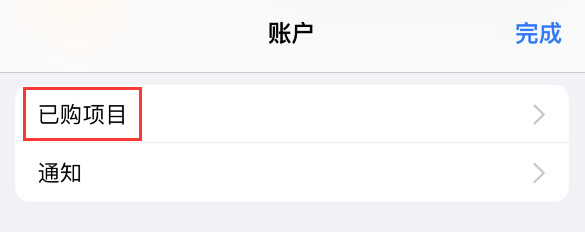 如何在 iPhone 上查看和重新下载 App Store 已购项目？