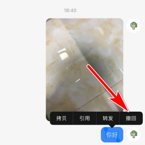 小红书怎样撤回消息