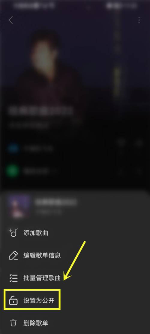 汽水音乐怎么设置歌单公开