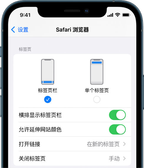 iOS 15 小技巧：自定 Safari 浏览器设置