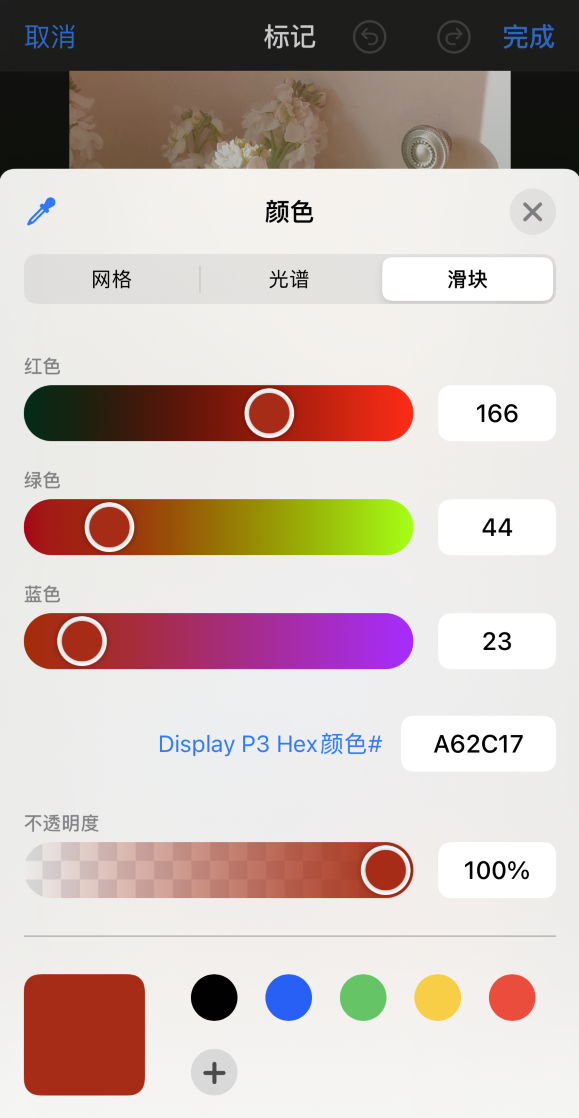 iPhone 12 如何在照片上涂鸦？