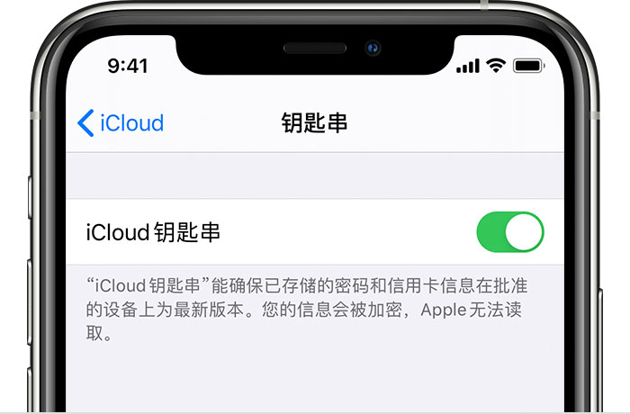 在 iPhone 上开启 iCloud 钥匙串之后会储存哪些信息？