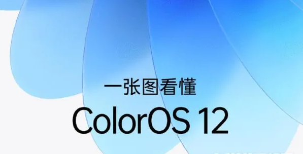 coloros12怎么查内存大小