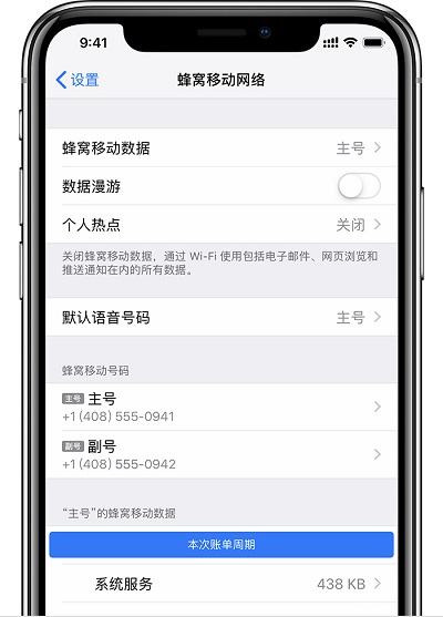 iPhone XS Max 无法使用互联网套餐免流服务的解决方法