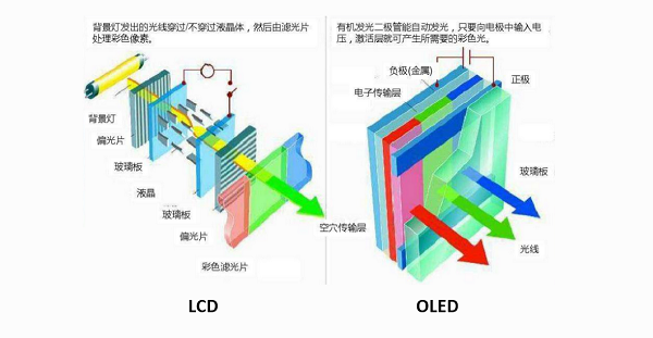 为什么 OLED 屏幕的 iPhone 要更贵？| 今年该选择哪一款 iPhone ？