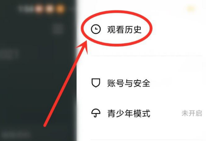 青桃APP在哪里删除浏览历史 删除历史记录流程一览 3