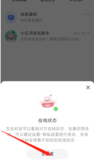 小红书个人在线状态怎么关闭 个人在线状态关闭教程分享 3