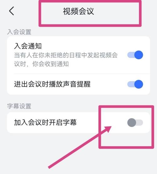 飞书怎么设置视频会议字幕 开启视频会议字幕流程一览 3
