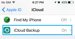 iPhone 上的 iCloud 备份选项