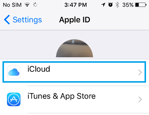 iPhone 上的 iCloud 设置选项卡