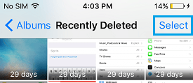 在 iPhone 上选择最近删除的相册中的照片