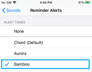 在 iPhone 上选择提醒音