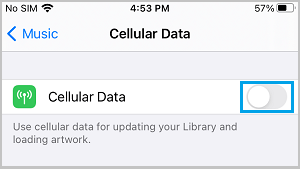 在 iPhone 上禁用音乐的蜂窝数据