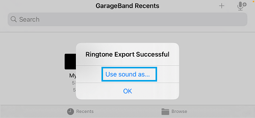 在 GarageBand 中将声音用作选项