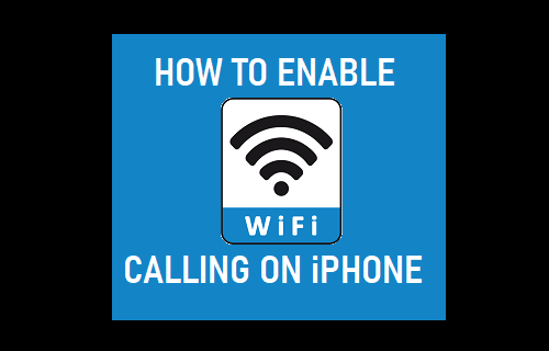 在 iPhone 上启用 WiFi 通话