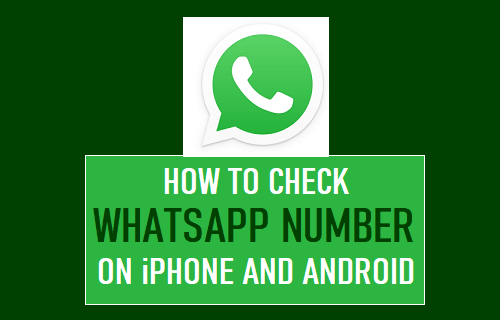 在 iPhone 和 Android 上检查 WhatsApp 号码