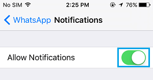 在 iPhone 上允许 WhatsApp 通知