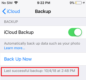 上次成功的 iCloud 备份日期