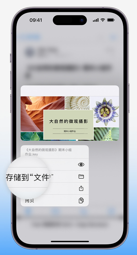 小技巧：在 iPhone 文件应用中存储和找到下载文件