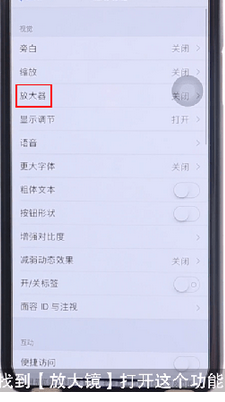 iphone怎么开启放大镜