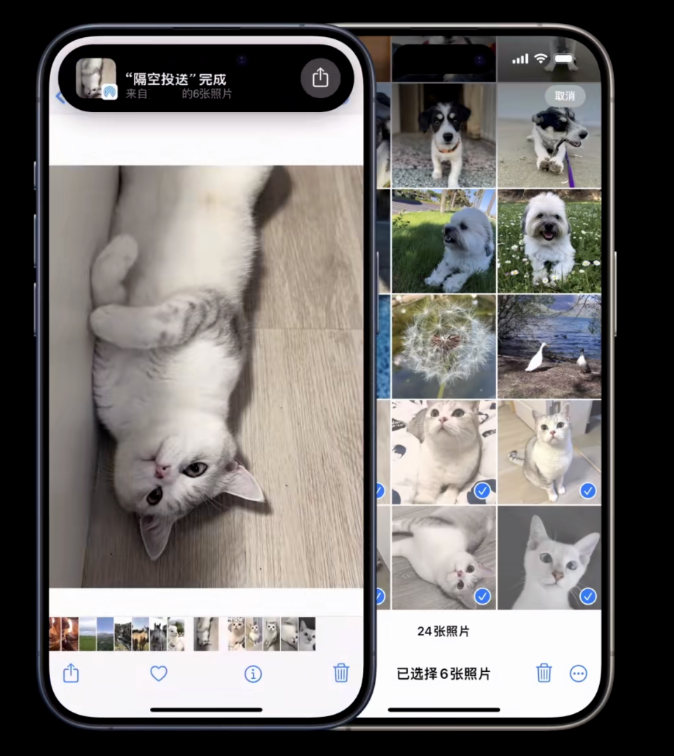 iOS 17 新功能：让两部 iPhone 靠近快速分享照片